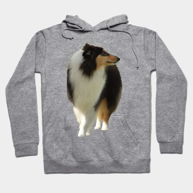 Black Lassie Hoodie by alsoCAN